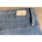 PAIGE Hoxton Ankle Jeans Womens 30 Blue Metallic Silver Stripe Skinny High Rise