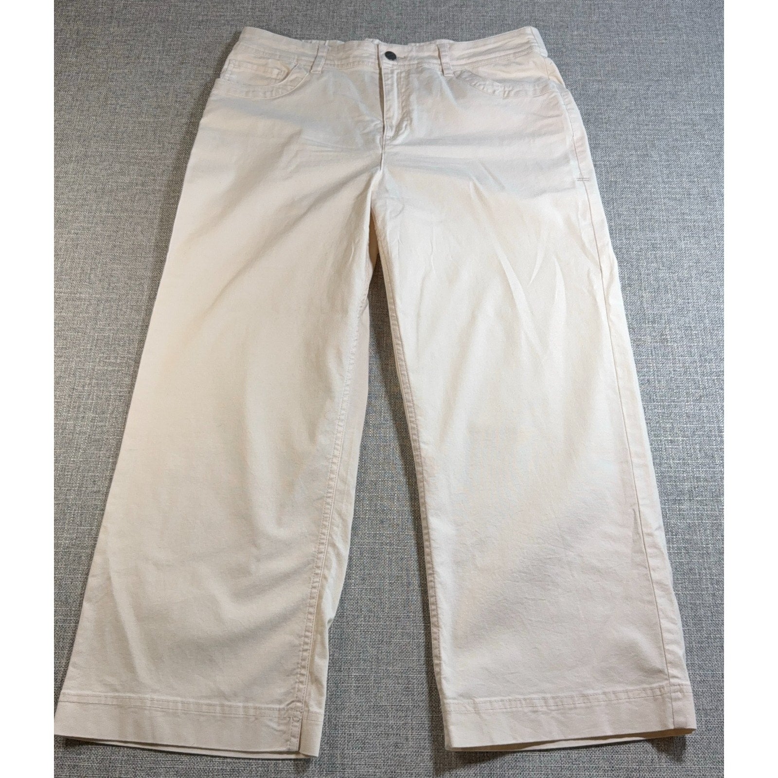 Toad & Co Earthworks Pants Womens 14 Ivory Wide Leg Crop Tencel Stretch