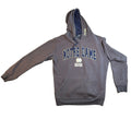 Notre Dame Fighting Irish Hoodie Mens M Embroidered Stadium Athletics Gray