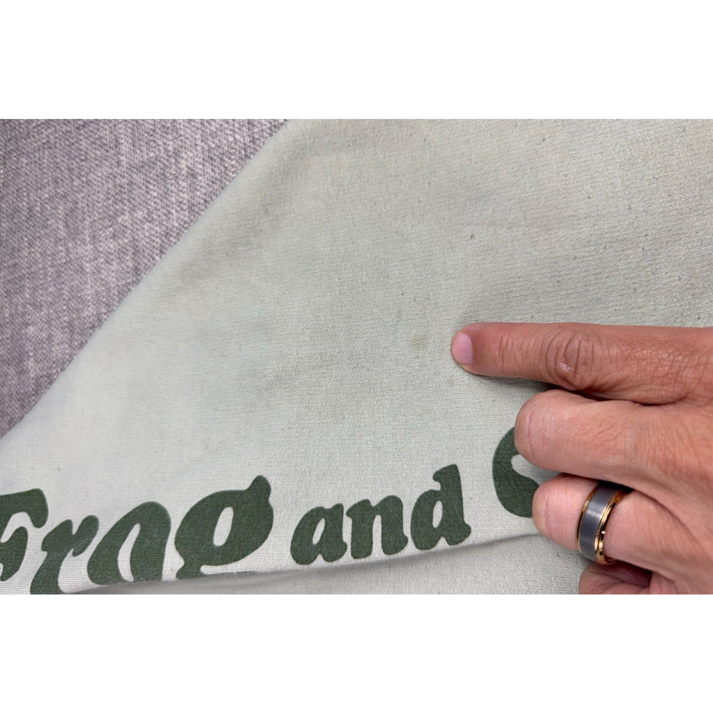 Frog and Toad Hoodie Mens Medium Sage Green Best Friends Graphic Pullover