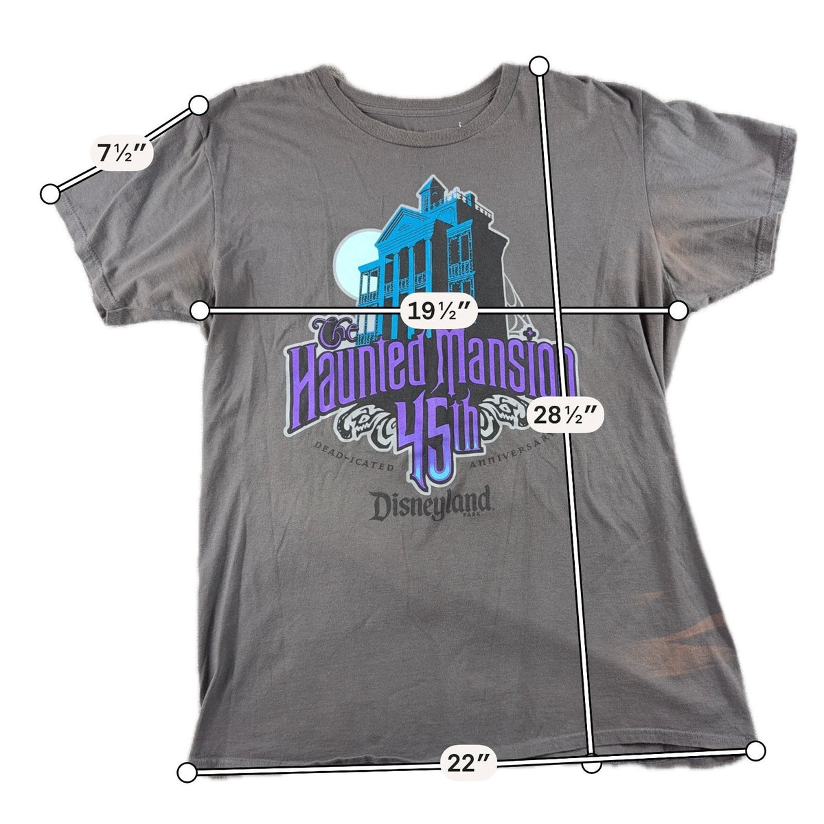 Disney Haunted Mansion 45th Anniversary T Shirt Mens L Disneyland 2014 Flaws