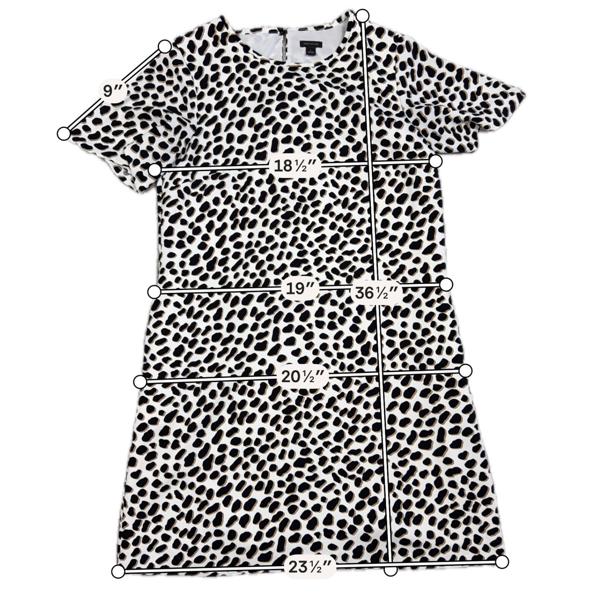Ann Taylor Dress Womens 6 Animal Leopard Print Shift Short Sleeve Black Cream
