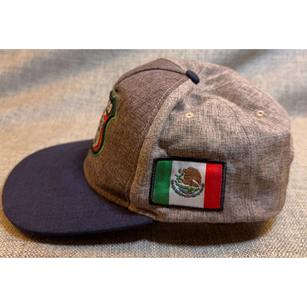 Mexico Eagle Snapback Hat Gray Navy Mexican Flag Embroidered Soccer Cap