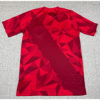 2018 Umbro Peru FPF World Cup Third Jersey Men's M Red Limited Edition