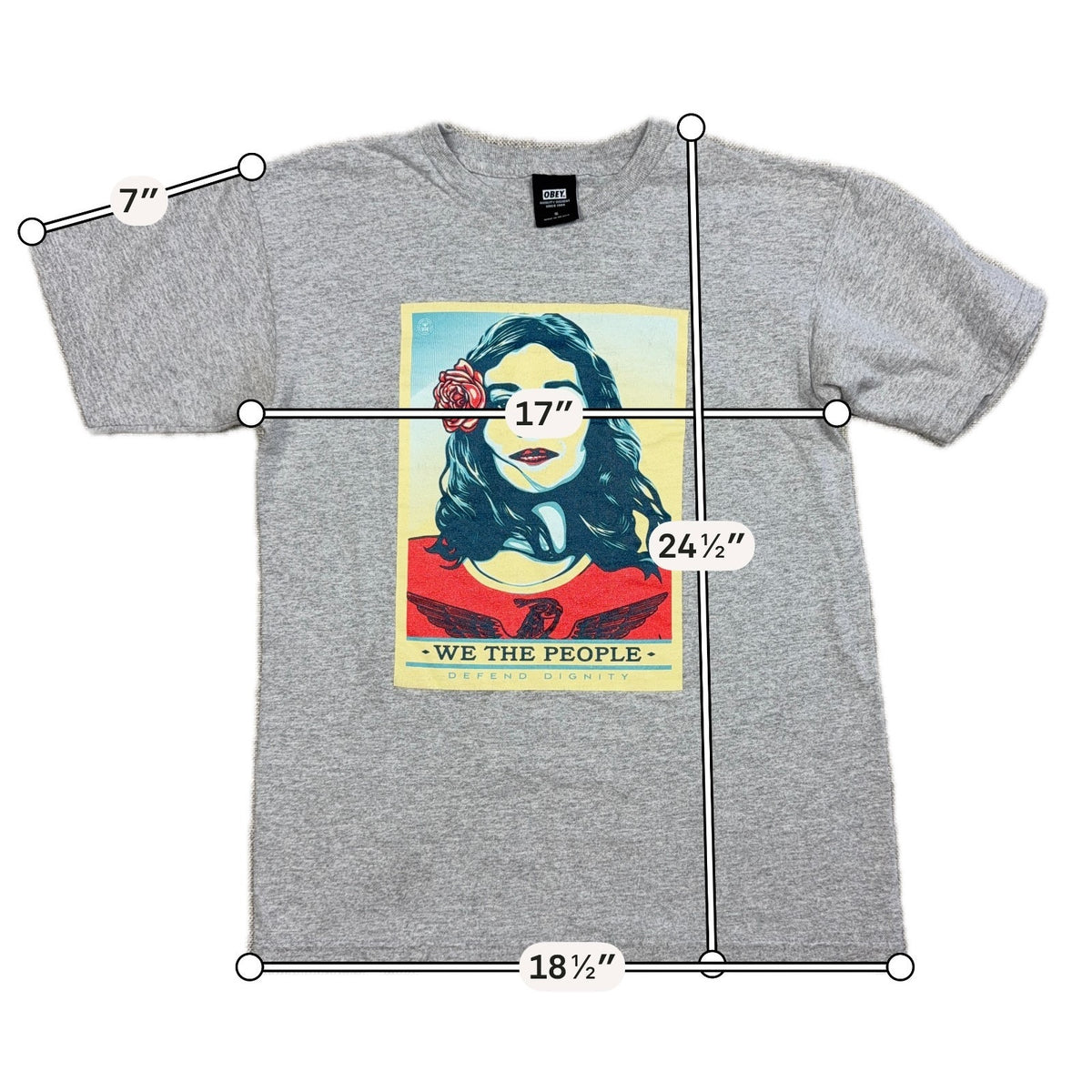 OBEY We The People Defend Dignity Shirt Small Gray Shepard Fairey Graphic Tee