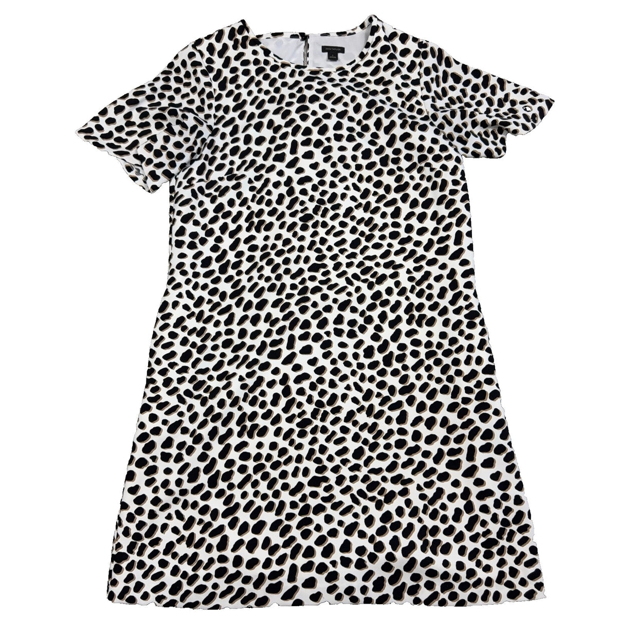 Ann Taylor Dress Womens 6 Animal Leopard Print Shift Short Sleeve Black Cream