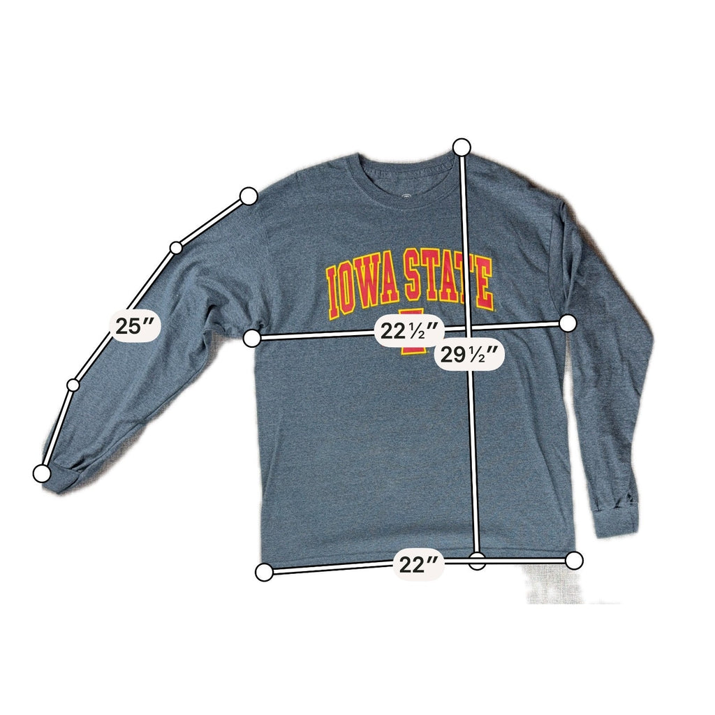 Iowa State Cyclones Long Sleeve T Shirt Mens Large Gray NCAA College Top of Worl