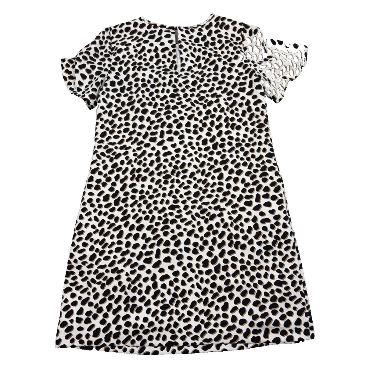 Ann Taylor Dress Womens 6 Animal Leopard Print Shift Short Sleeve Black Cream