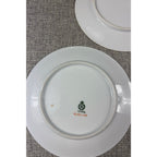 Second Half Supply Co, LLC antique PM Moschendorf Bavaria porcelain plate back with green maker mark and handpainted