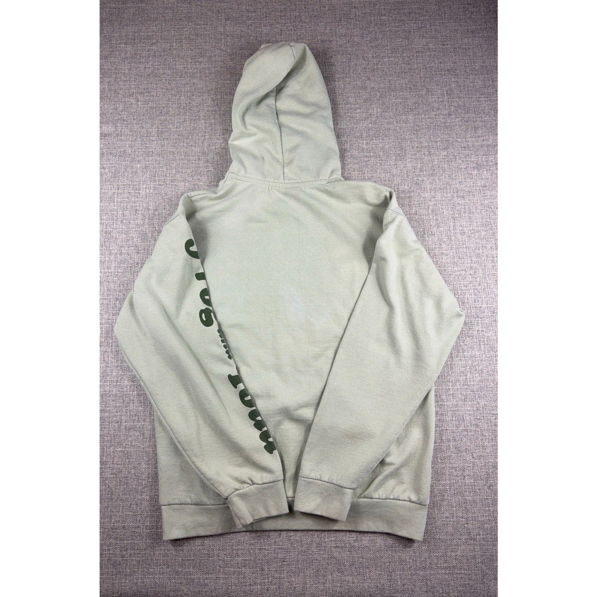 Second Half Supply Co, LLC sage green Frog and Toad pullover hoodie with sleeve lettering, back view.